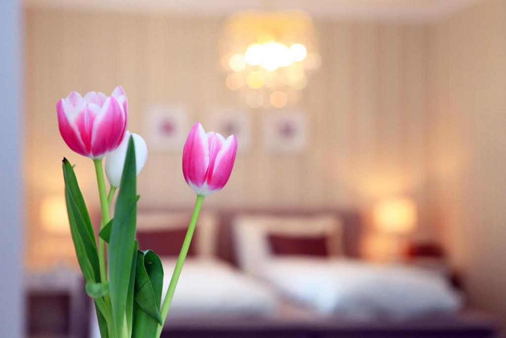 Hotel Krone Bad Ragaz Camera foto